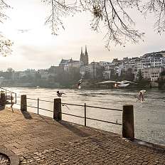 Rheinpromenade im Winter